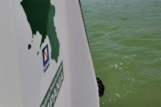 Colorazione verde Golfo di Napoli: alte temperature acqua, non riscontrata contaminazione fecale