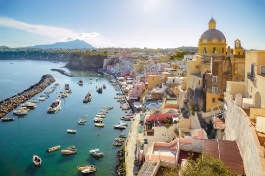 Summer School a Procida su ecologia e biologia marina