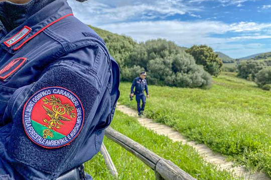 Resoconto annuale 2023 delle attività dei Carabinieri forestali della Campania